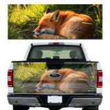 Fox Dreams