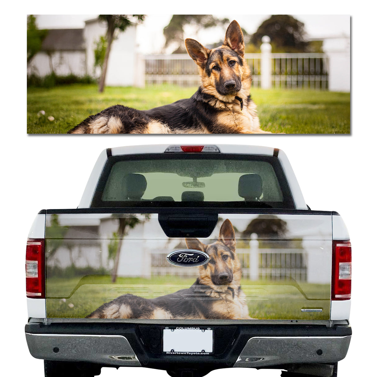 Good Boy
