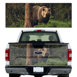 Grizzly Bear