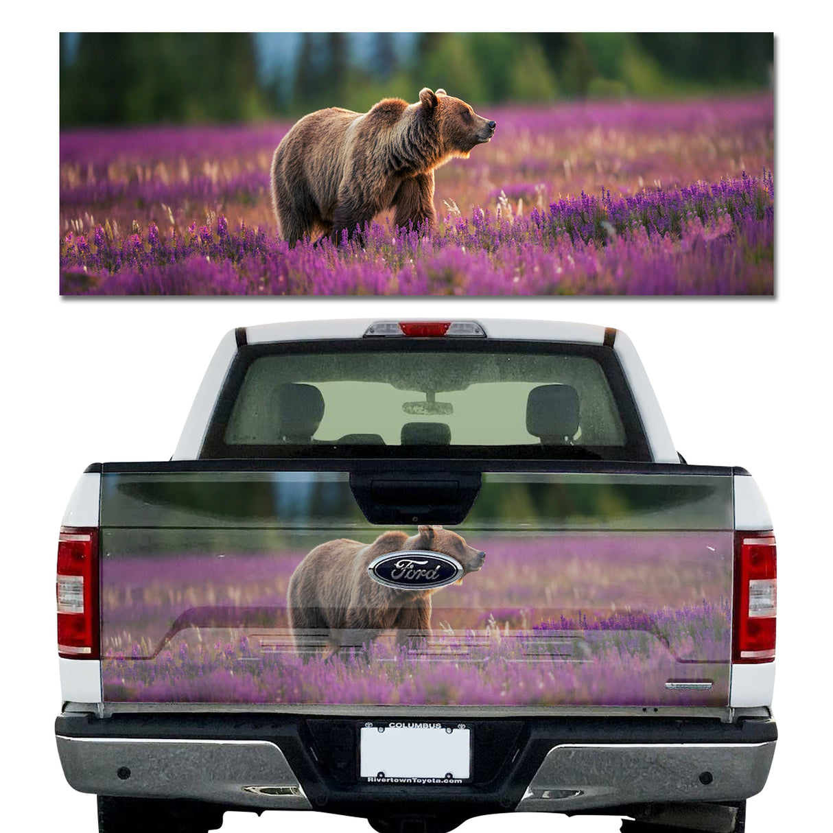 Lavender Bear