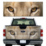 Lion Eyes