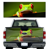 Red Eyes Green Frog