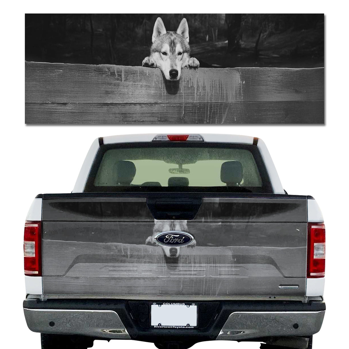 Wolf Peeking Over