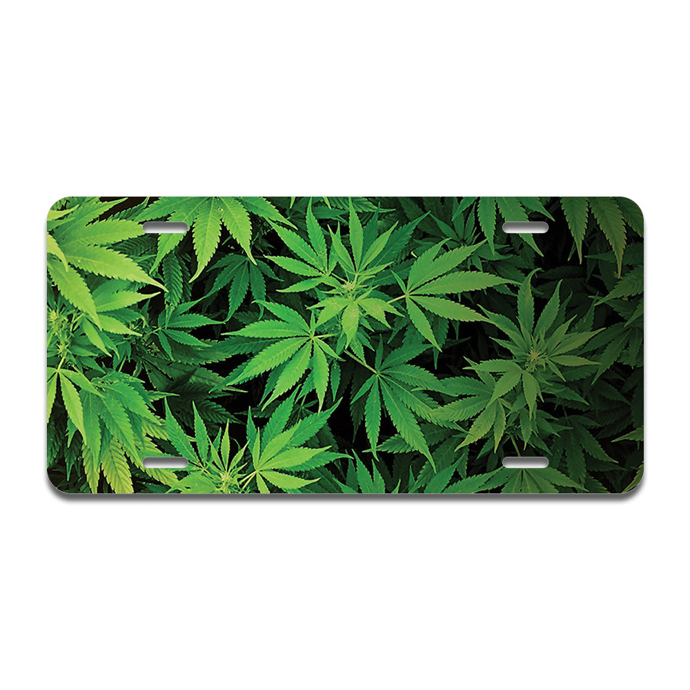 Weed