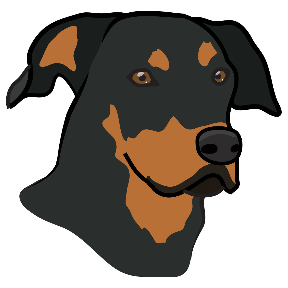 Beauceron Dog