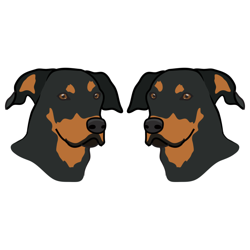 Beauceron Dog