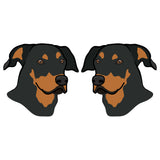 Beauceron Dog