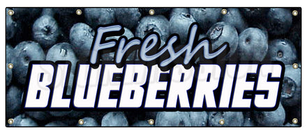 Fresh Blue Berries Banner
