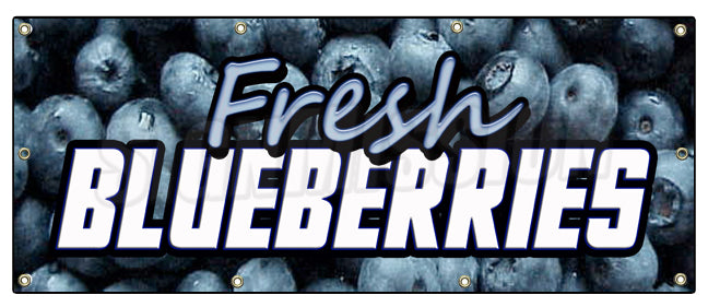 Fresh Blue Berries Banner