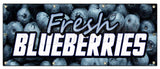 Fresh Blue Berries Banner