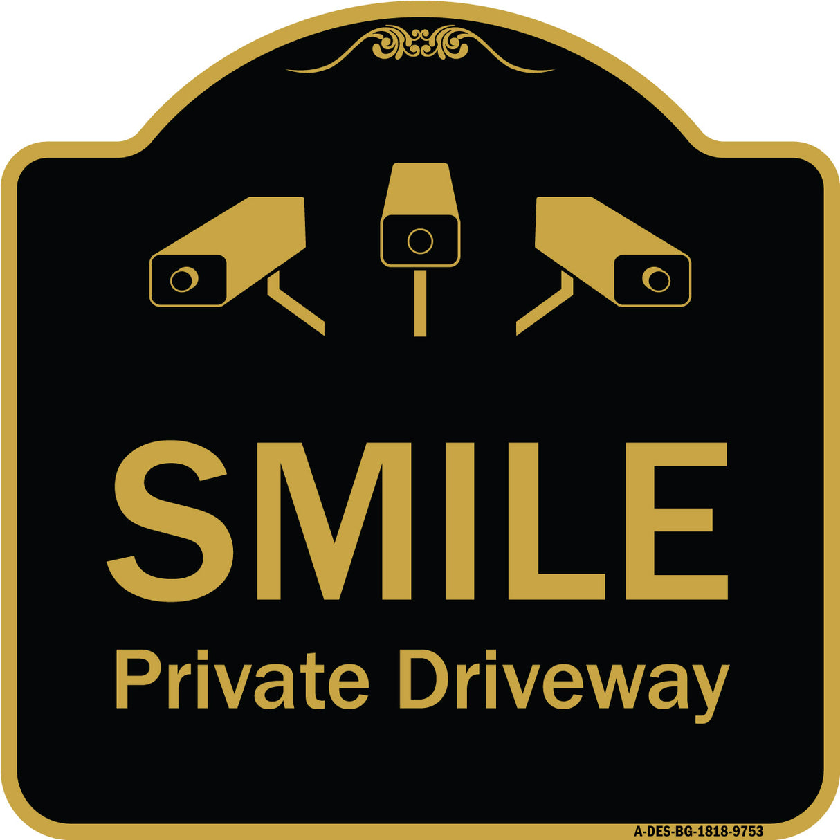 Smile Private Driveway With Video Surveillance Camera Graphics