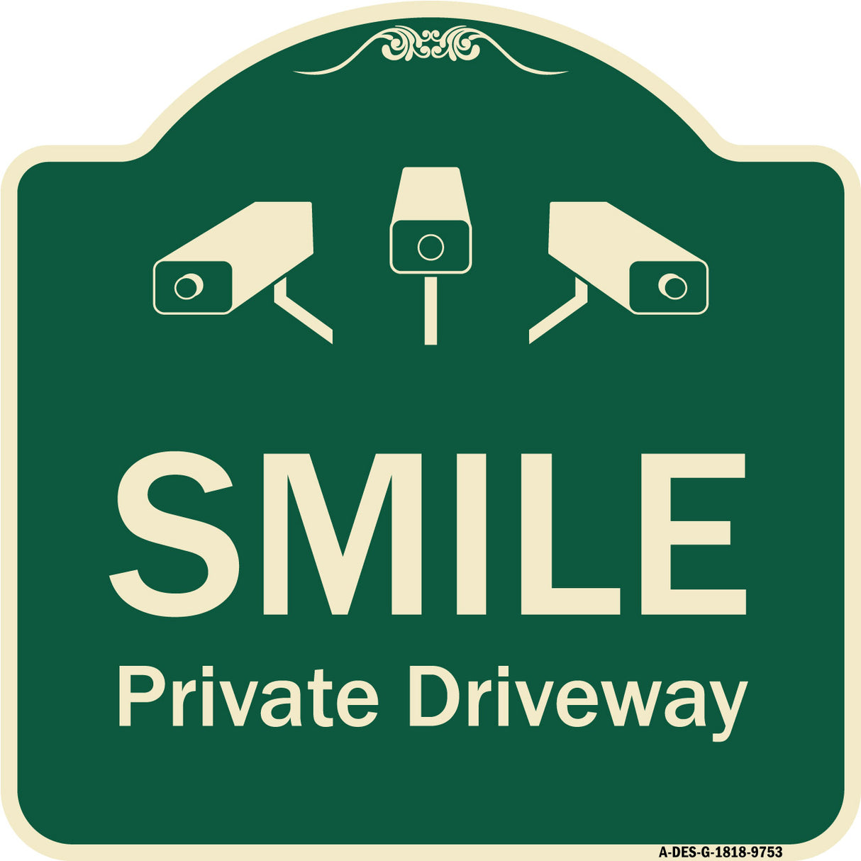 Smile Private Driveway With Video Surveillance Camera Graphics