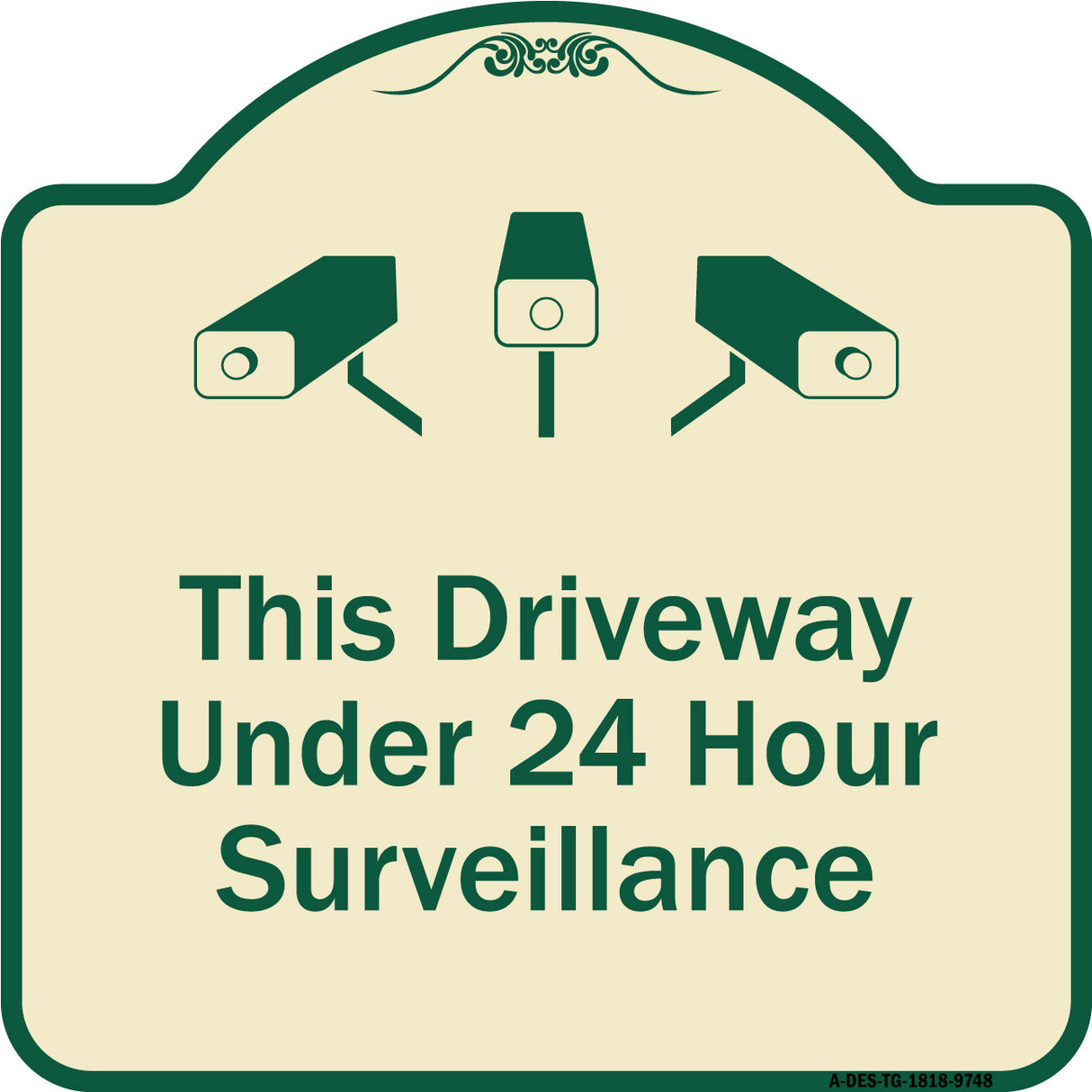 This Driveway Under 24 Hour Surveillance With Graphics