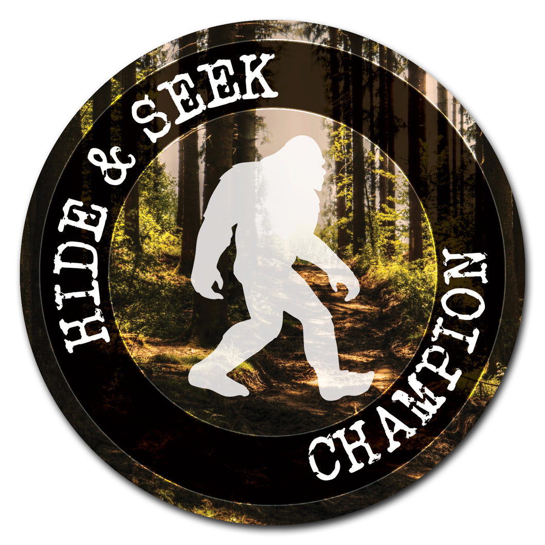Hide N Seek Champion Circle