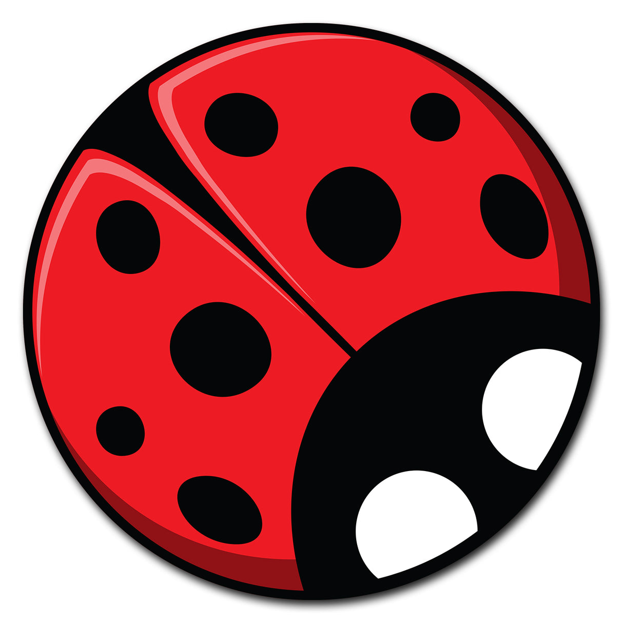 Ladybug Circle
