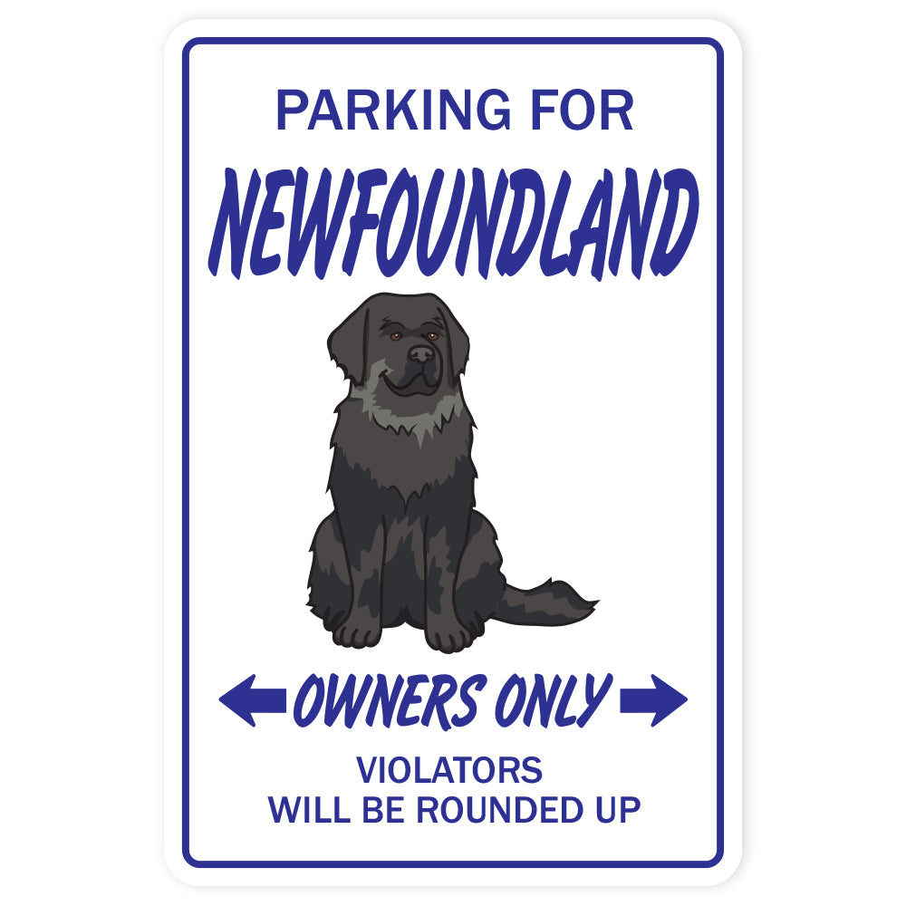 Newfoundland Street Vinyl Decal Sticker