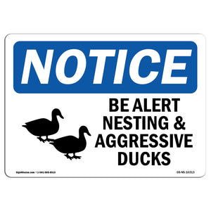 Be Alert Nesting And Aggressive Ducks