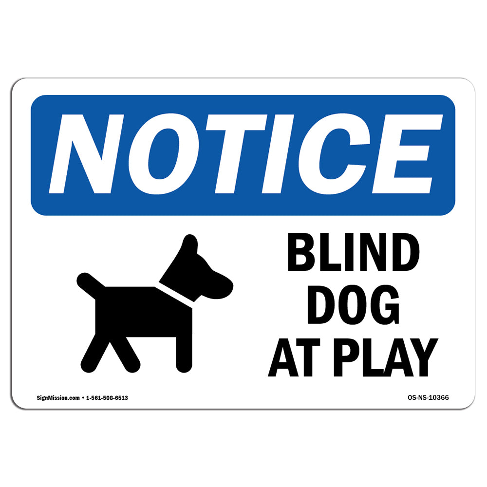 Blind Dog At Play