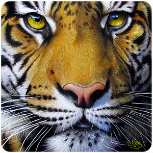Bengal Tiger Face Vinyl Decal Sticker