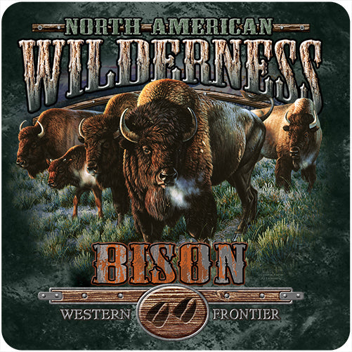 Bison Wilderness