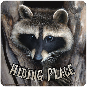 Hiding Place Racoon Vinyl Decal Sticker