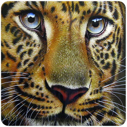 Leopard Face Vinyl Decal Sticker