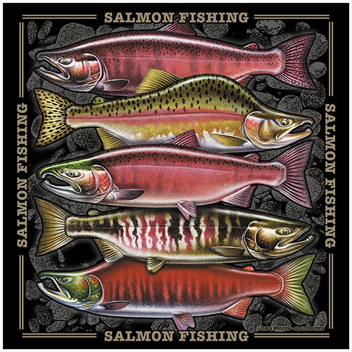 Salmon Fishing