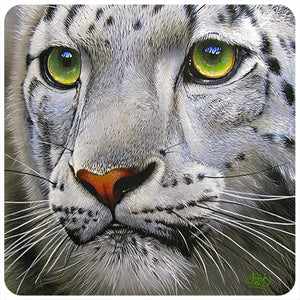 Snow Leopard Face Vinyl Decal Sticker