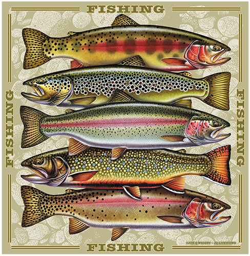 Trout Fishing Vinyl Decal Sticker