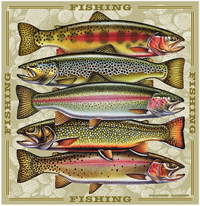 Trout Fishing