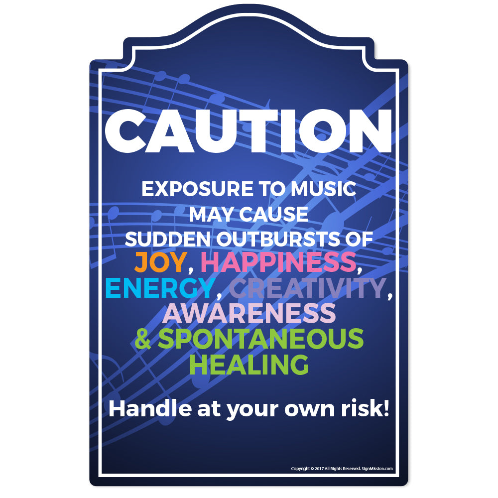 Exposure To Music Vinyl Decal Sticker