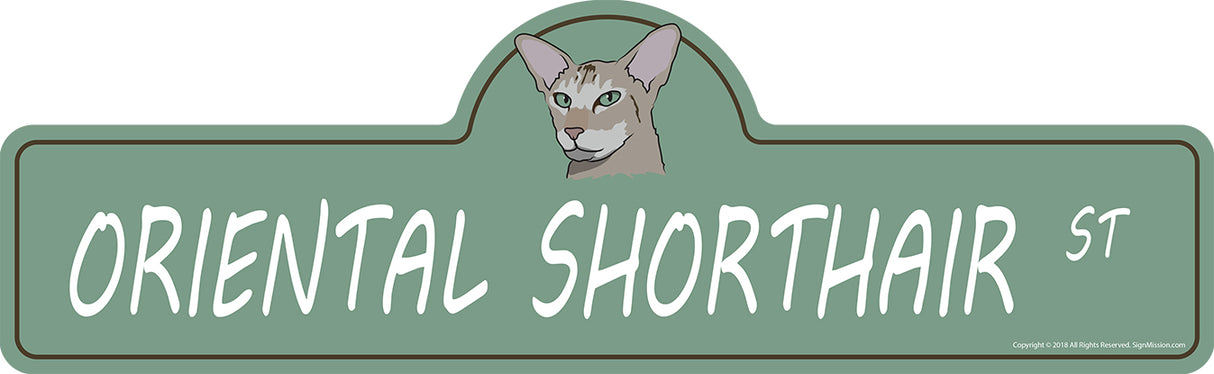 Oriental Shorthair
