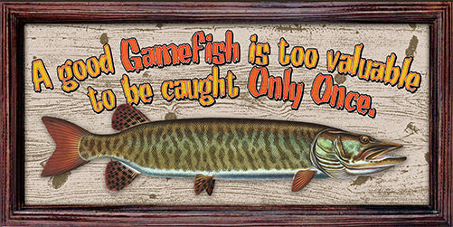 Musky A Good Gamefish Is Too Valuable To Be Caught Only Once Vinyl Decal Sticker