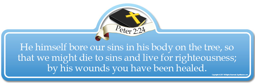 Peter 2.24B