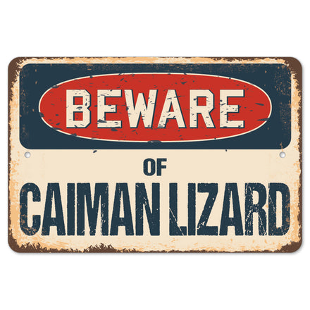 Beware Of Caiman Lizard