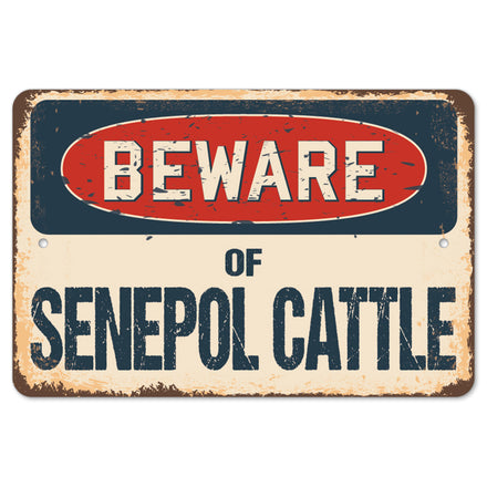 Beware Of Senepol Cattle