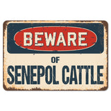 Beware Of Senepol Cattle