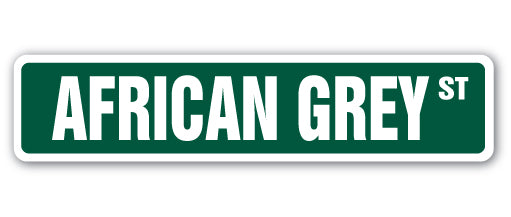 African Grey Street Vinyl Decal Sticker