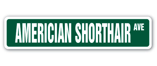 AMERICIAN SHORTHAIR Street Sign