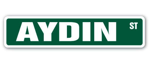 AYDIN Street Sign