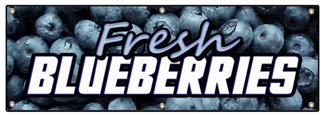 Fresh Blue Berries Banner