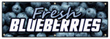 Fresh Blue Berries Banner