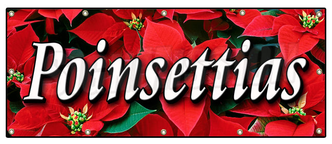 Poinsettias Banner