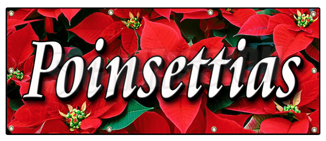 Poinsettias Banner