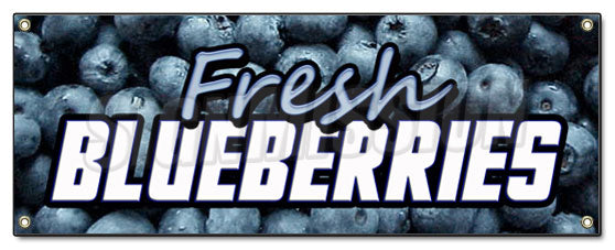 Fresh Blueberries Banner