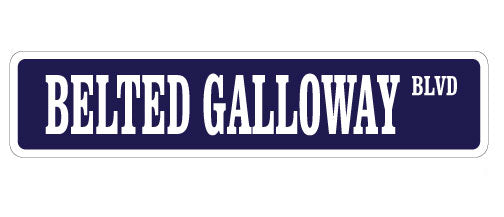 Belted Galloway Street Vinyl Decal Sticker