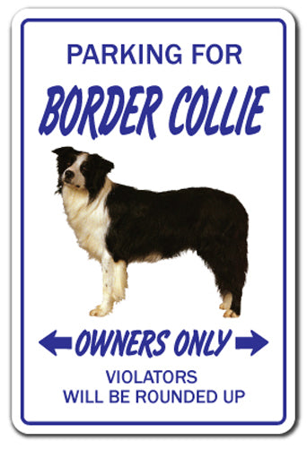 Border Collie Vinyl Decal Sticker