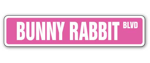 Bunny Rabbit Street Vinyl Decal Sticker