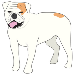 American Bulldog Dog Decal