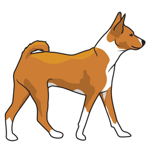 Basenji Dog Decal